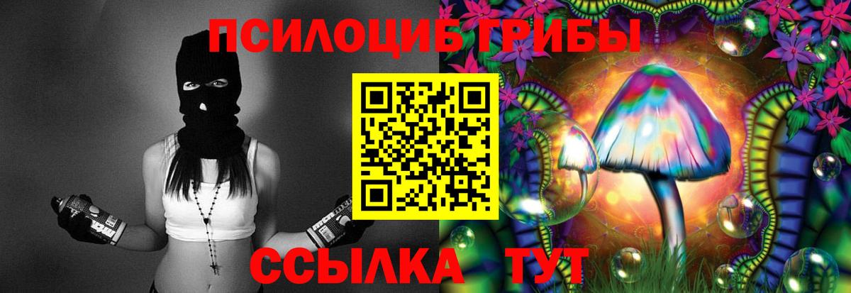 Псилоцибиновые грибы мухоморы Отрадное